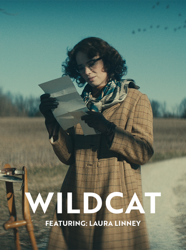 Wildcat Mobile Hero